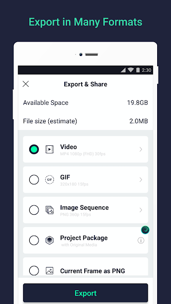 Export option in Alight Motion