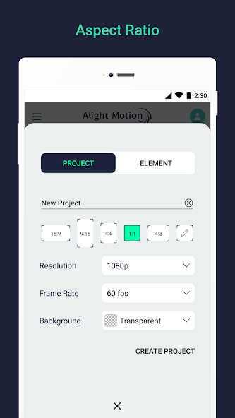 Aspect Ratio of Alight Motion